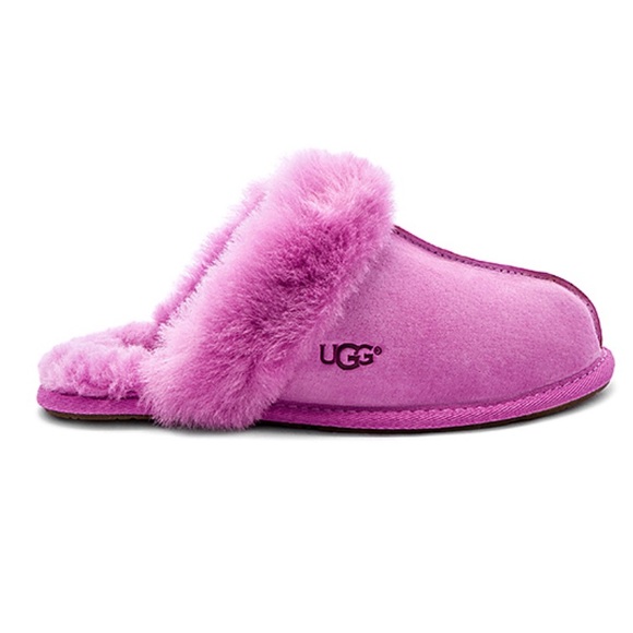 ugg scuffette bodacious